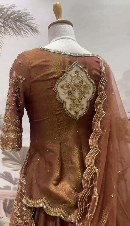 Rust & Royalty Threadwork and Celestial Motifs Lehenga Set